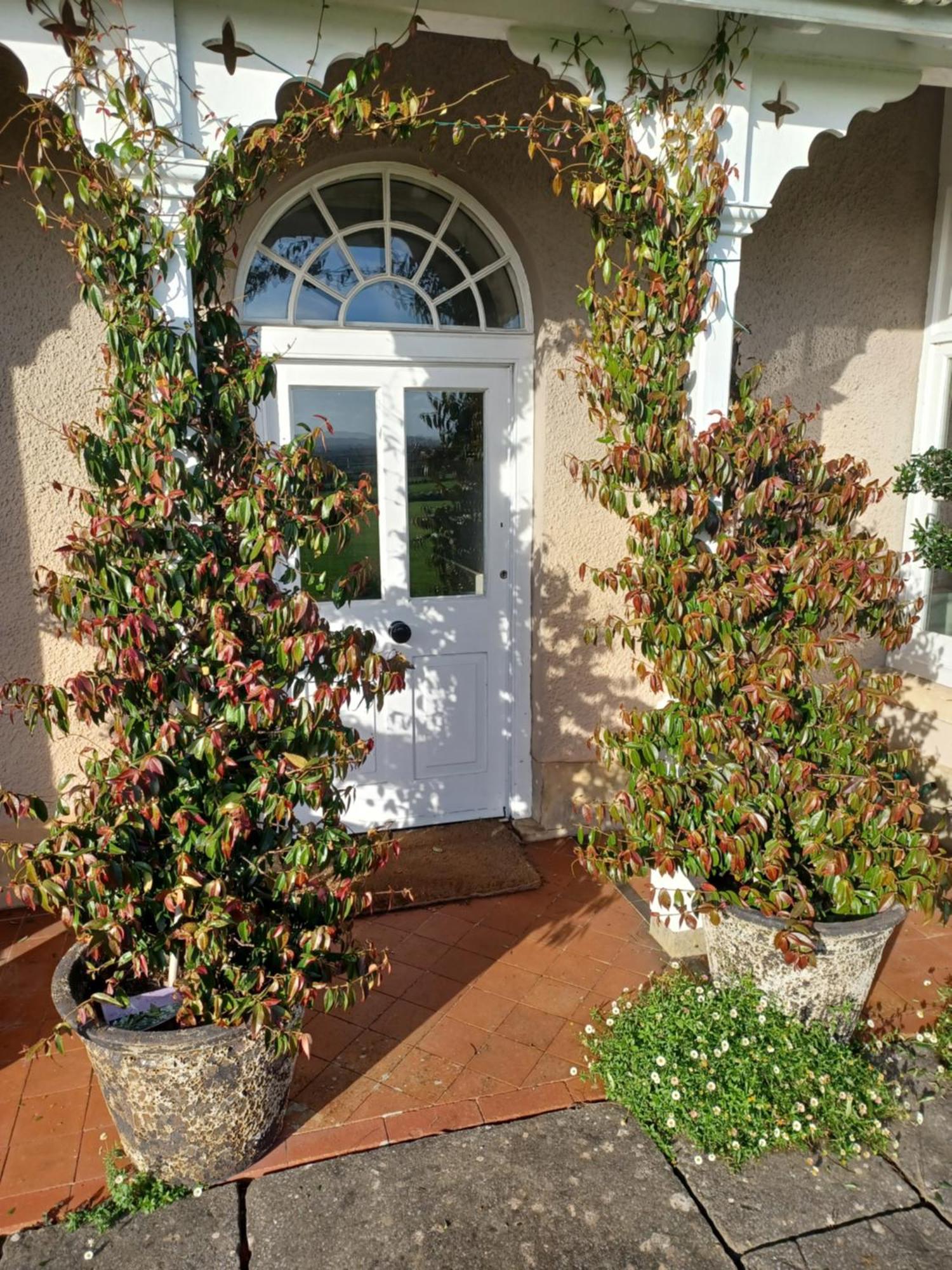 Rusling House Bed & Breakfast Butcombe Exterior photo
